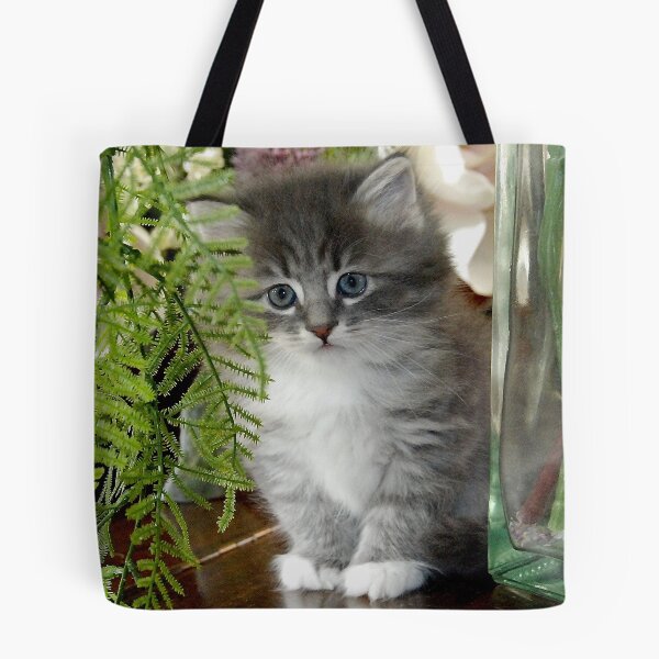 Item preview, Kitten, Siberian Grey with White designed and sold by bryanmcclelland.