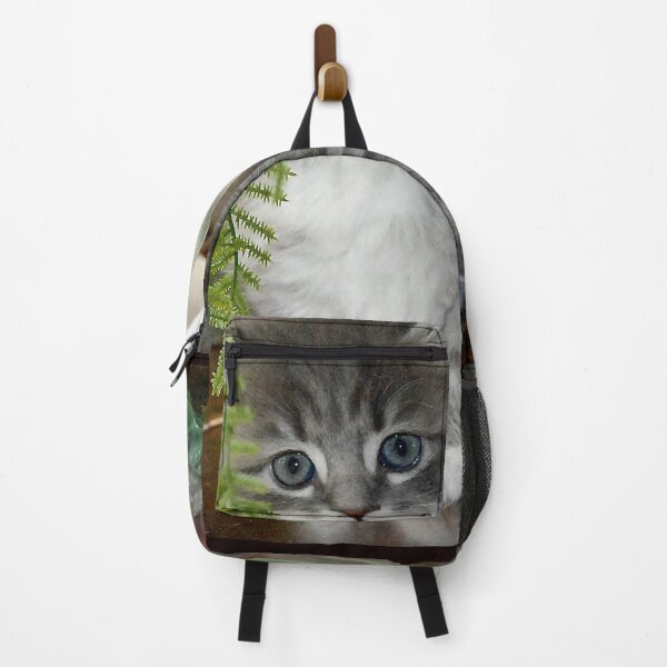 Item preview, Kitten, Siberian Grey with White designed and sold by bryanmcclelland.