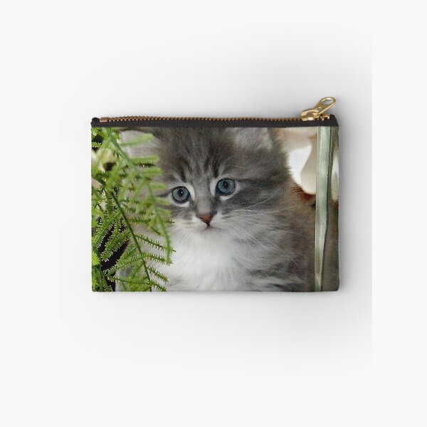 Item preview, Kitten, Siberian Grey with White designed and sold by bryanmcclelland.