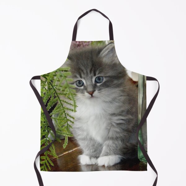 Item preview, Kitten, Siberian Grey with White designed and sold by bryanmcclelland.