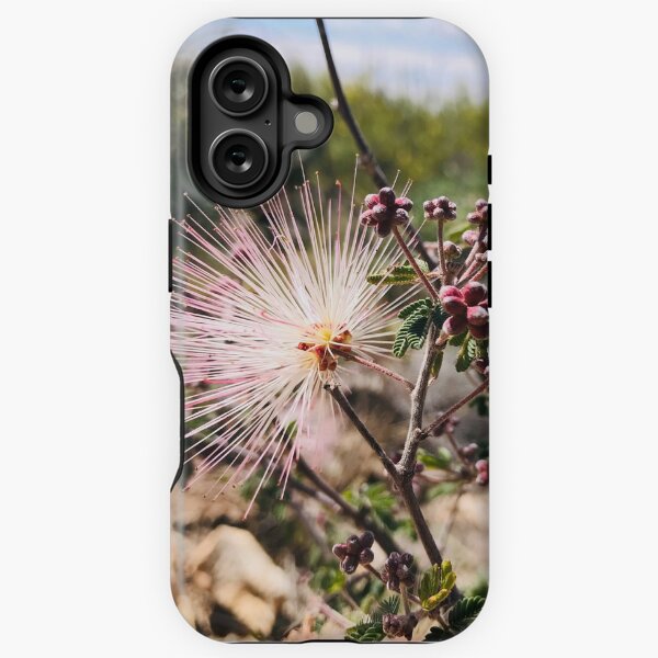 Vista previa del artículo con la obra «Flor de postre espinosa en Tanque Verde, Arizona», diseñado y vendido por mossandhoney.