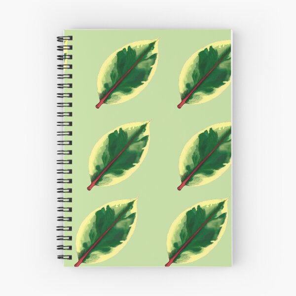Item preview, Ficus Benjamina  designed and sold by Taidundua.