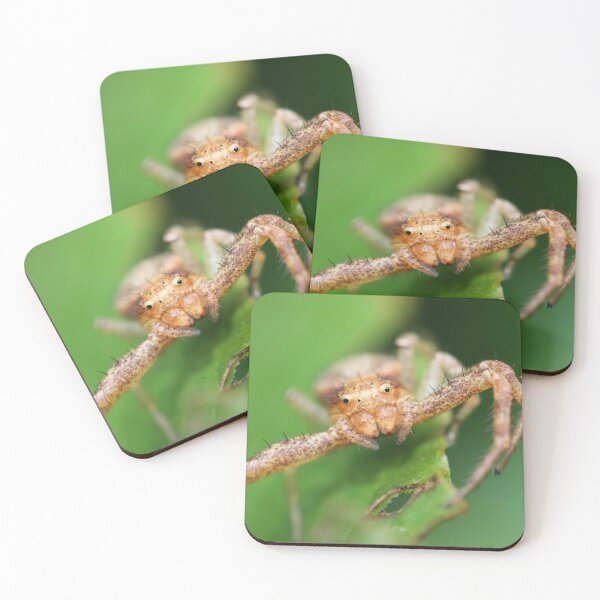 Item preview, Brown crab spider (Xysticus cristatus) designed and sold by NW-Photo-Art.