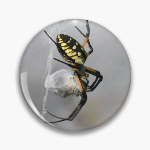 Item preview, Yellow Garden Spider designed and sold by Tonia Delozier's Photography .