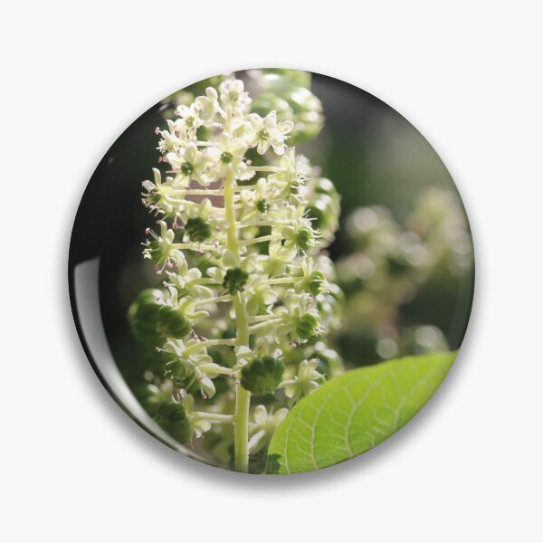 Item preview, Beautiful White Phytolacca Pokeweed Flowers designed and sold by Imladris01.
