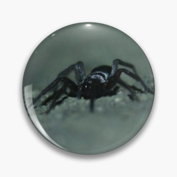Item preview, Creeping spider designed and sold by NW-Photo-Art.