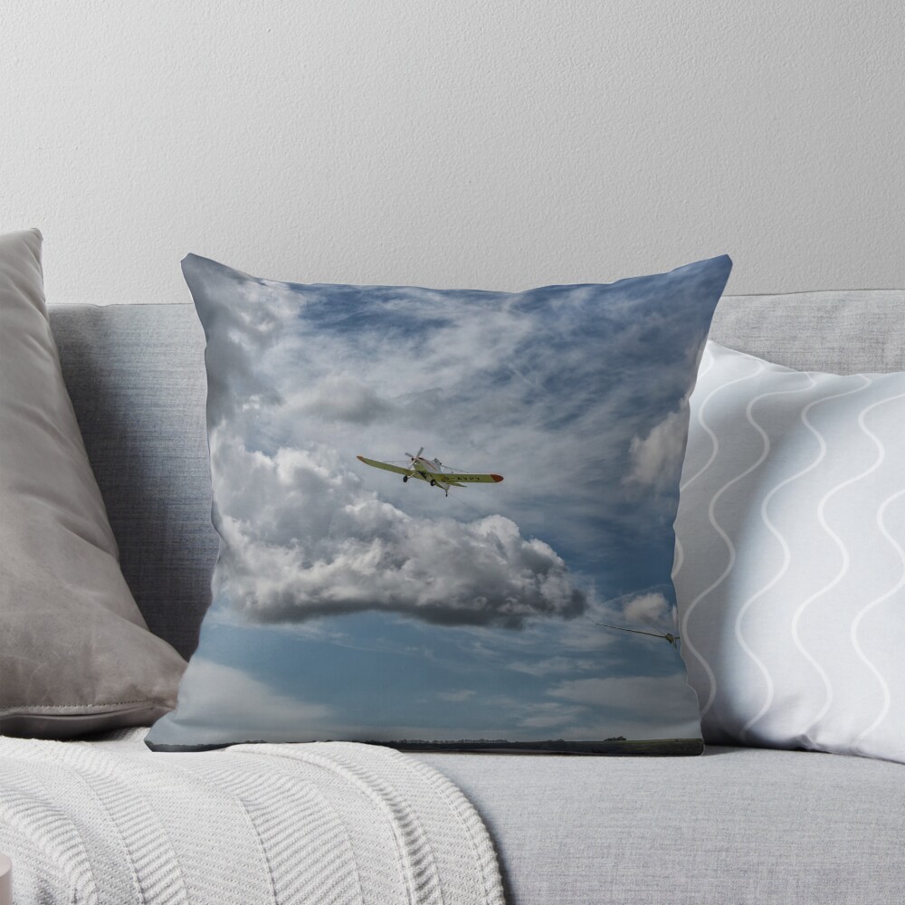 Item preview, Throw Pillow designed and sold by LenBrook.