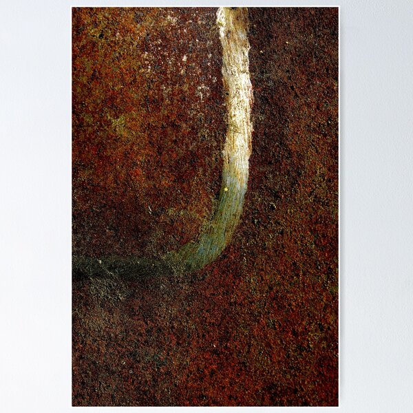 The Trail Poster
