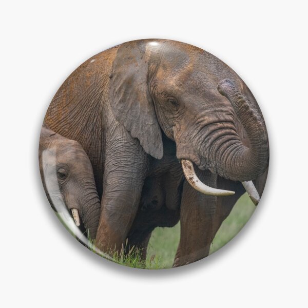 Item preview, Elephant Family Time designed and sold by Jensphotos.