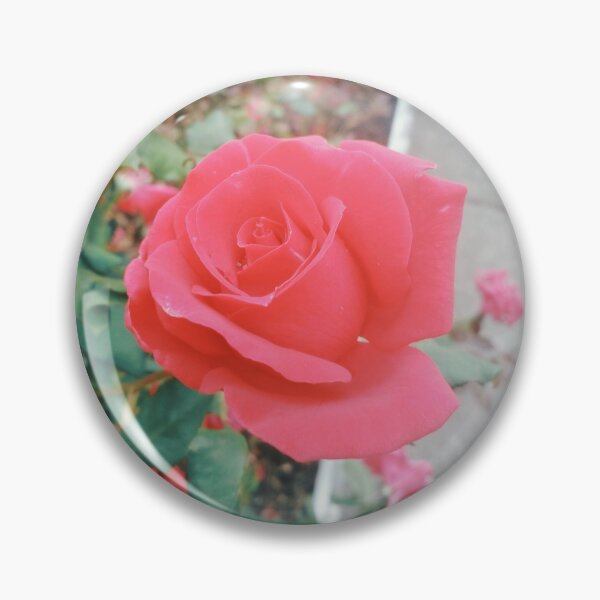 Item preview, Beautiful red rose, natural background designed and sold by helenkaiy.