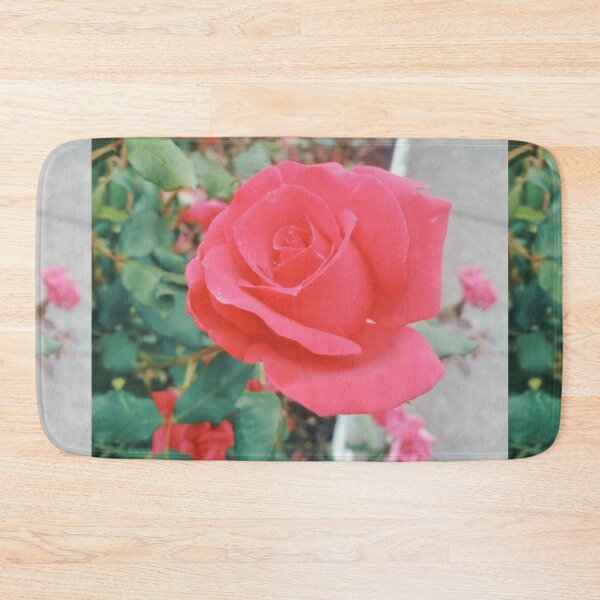 Item preview, Beautiful red rose, natural background designed and sold by helenkaiy.
