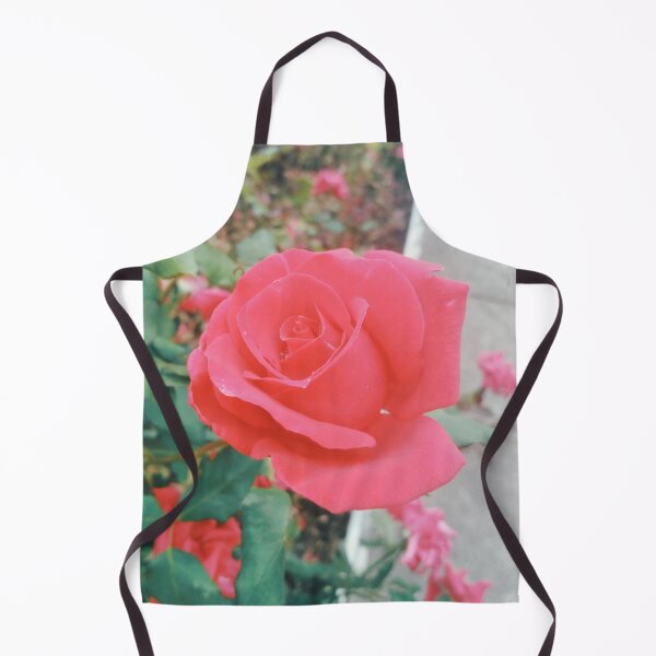 Item preview, Beautiful red rose, natural background designed and sold by helenkaiy.