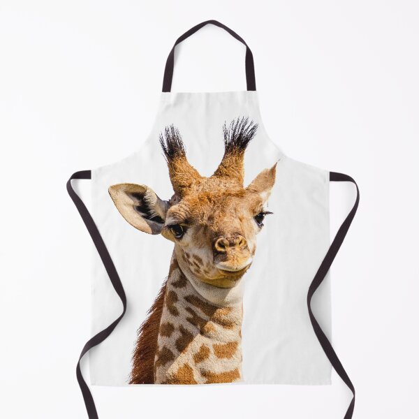 Item preview, Baby Massai Giraffe - isolated designed and sold by Jensphotos.