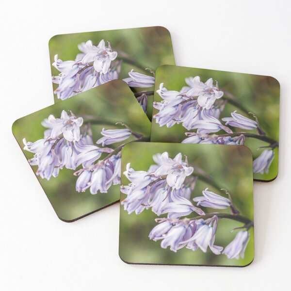 Item preview, Bluebells in Hedgerow in Spring. Although more "off blue" than blue they still stood out. designed and sold by Cameranick.