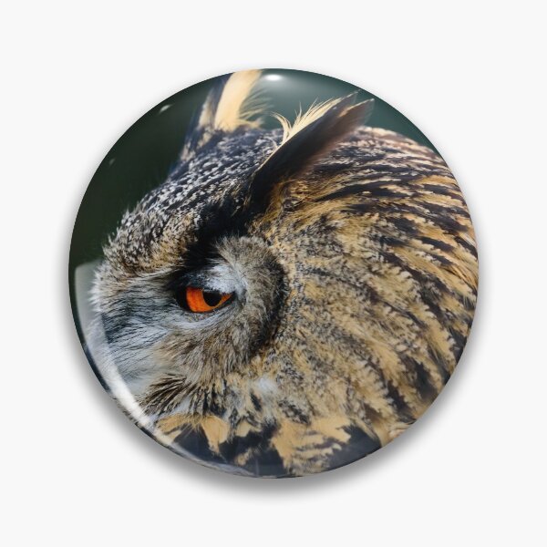 Item preview, Eurasian Eagle Owl Looking Back designed and sold by Ryan  Ten.