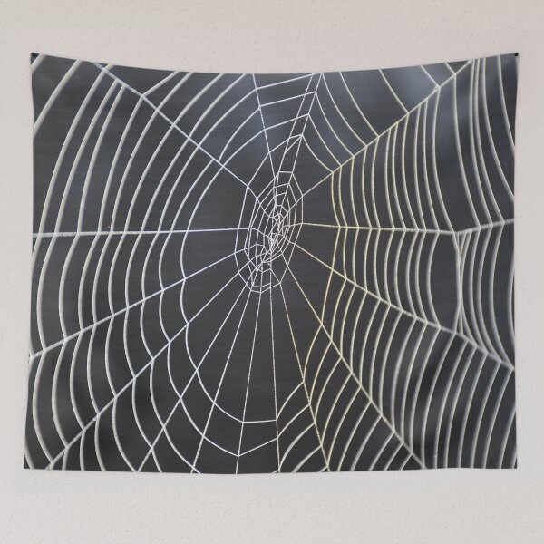 Item preview, Spider Web designed and sold by PatternPalace.