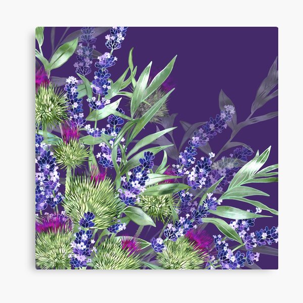Thistles & Lavender Canvas Print