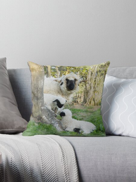 Item preview, The Twins With Mum Watercolour Photograph - Valais Blacknose Lambs designed and sold by JStanley19.