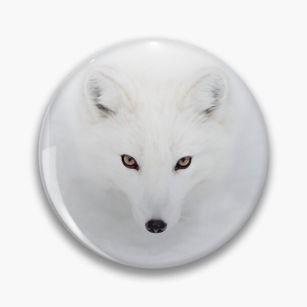 Item preview, Arctic Fox Closeup designed and sold by James Cumming.
