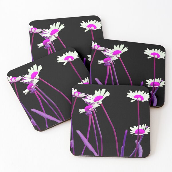 Item preview, Daisies with a difference. Nature. Outdoors. Pink, purple, white, graphic special effects. designed and sold by JellyBeenzz.
