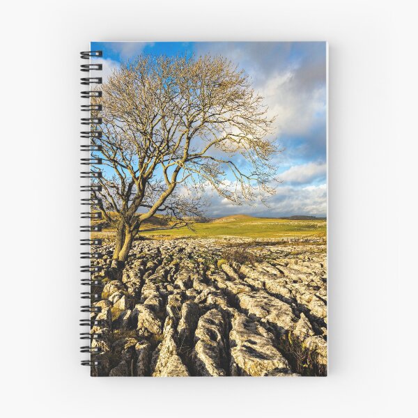 Item preview, Tree With Limestone Pavement - Malham designed and sold by David Lewins.