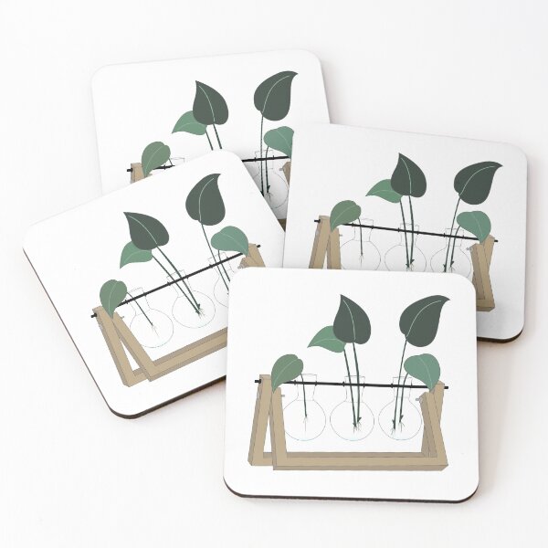 Item preview, Plant Propagation Station designed and sold by SageandOak.
