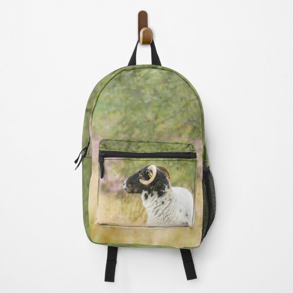 Item preview, Swaledale Sheep on a Rainy Day designed and sold by Jane Stanley Photography.