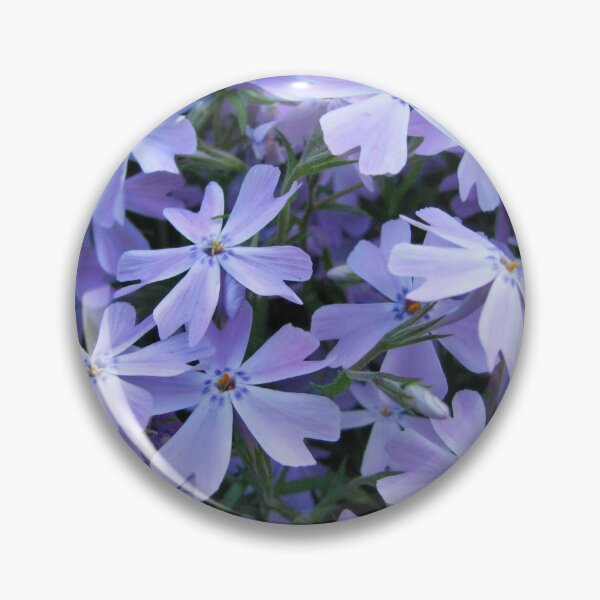 Item preview, creeping phlox designed and sold by foozma73.