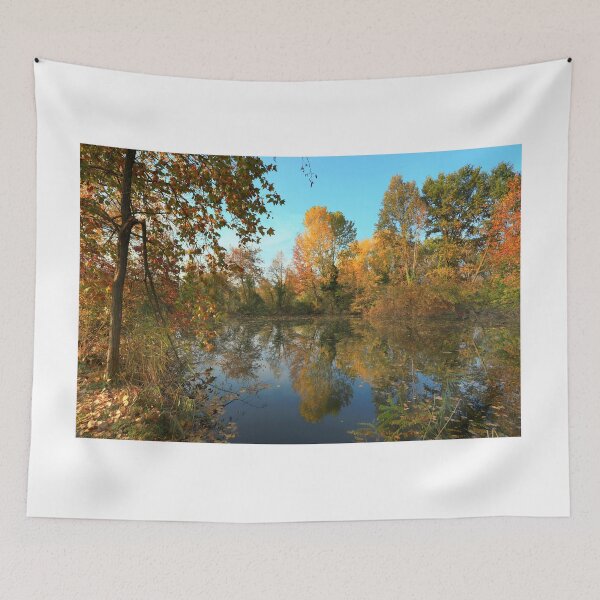 Item preview, The pond designed and sold by annalisa56.