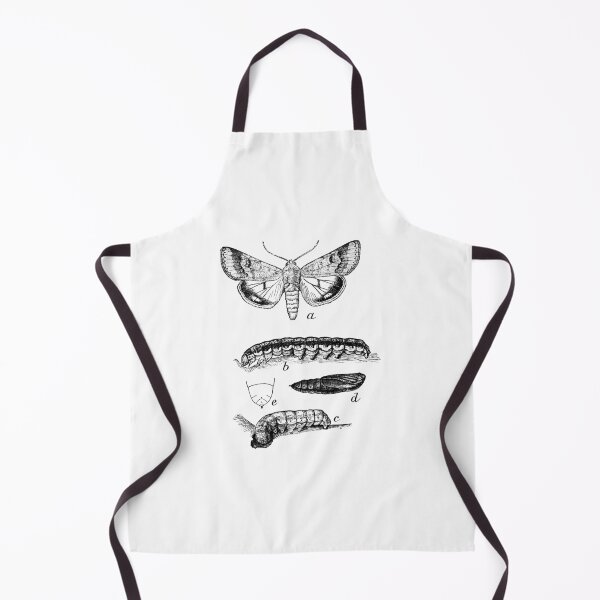 Item preview, Caterpillars and butterfly designed and sold by MamaO1.