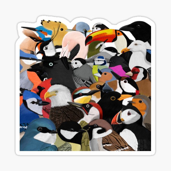 Item preview, Bird illustration many birds blackbird eagle sparrow birdwatcher biologist designed and sold by jz-birds.