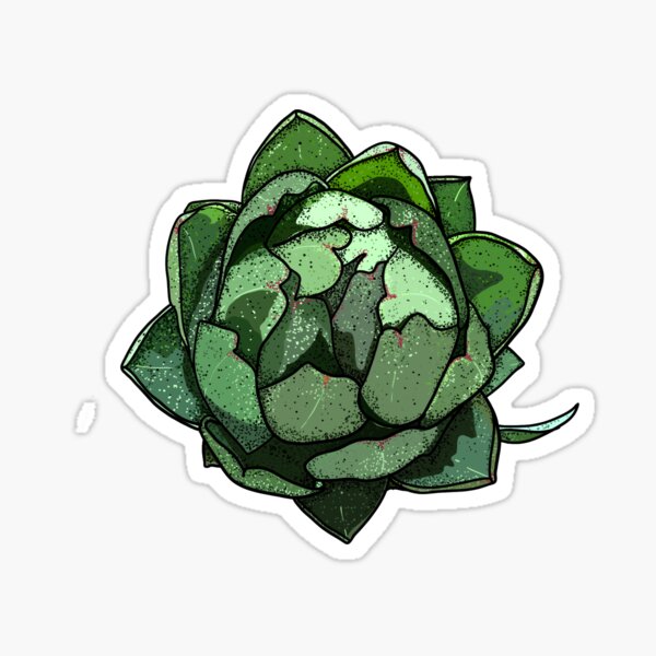 Produits Sur Le Theme Vert Artichaut Redbubble