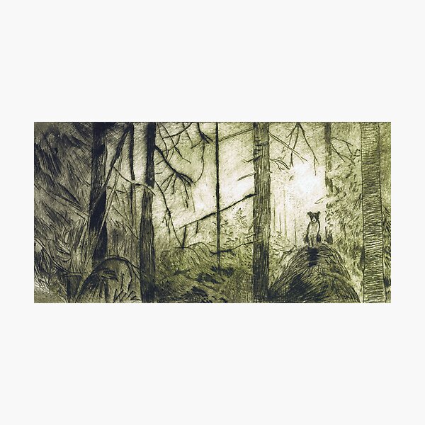 Dog in the woods Photographic Print