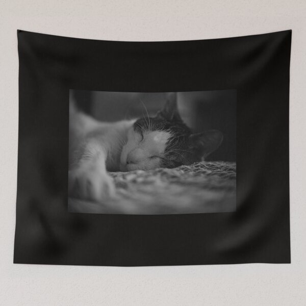 Item preview, cat resting and sleeping designed and sold by Sergio Roberto Peña y Lillo Lonconao.