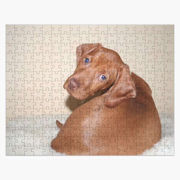 vizsla puzzle
