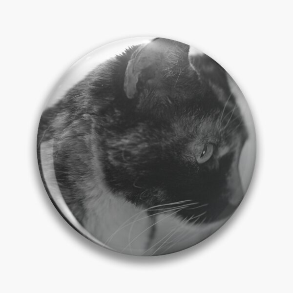 Item preview, Curious cat designed and sold by Sergio Roberto Peña y Lillo Lonconao.