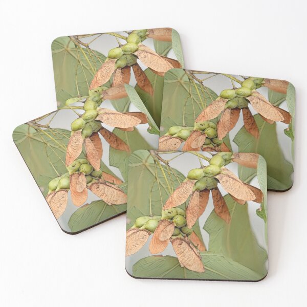 Item preview, Winging Sugar Maple Seeds designed and sold by Eileen McVey.