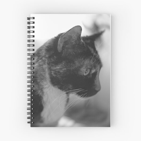 Item preview, Curious cat designed and sold by Sergio Roberto Peña y Lillo Lonconao.