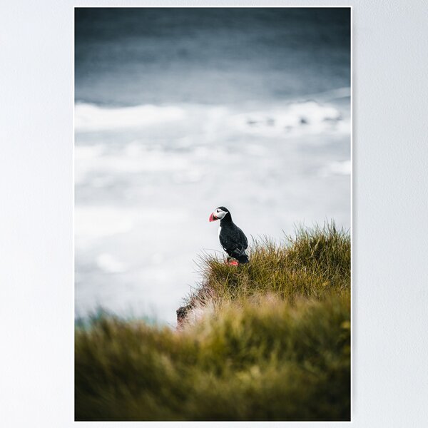 Item preview, puffin designed and sold by LouisaLilja.