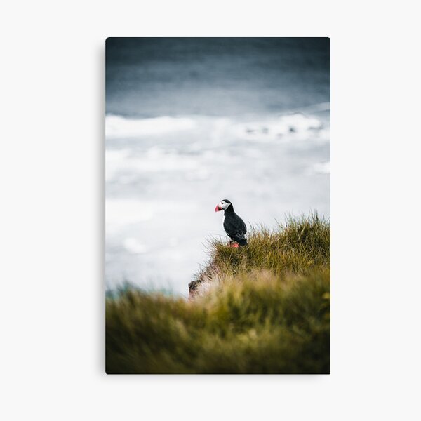 Item preview, puffin designed and sold by LouisaLilja.
