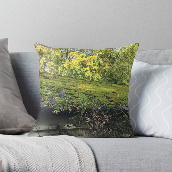 Roof Throw Pillow