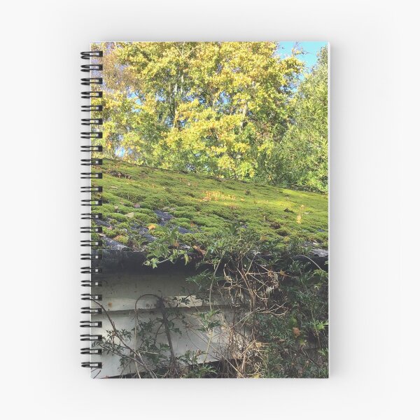 Item preview, Roof designed and sold by Charlie Mclenahan.