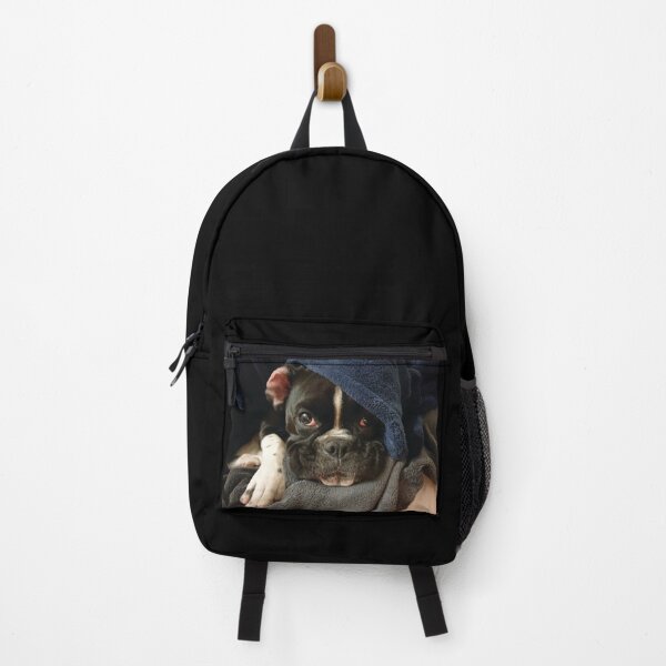 Item preview, Not Monday Again Boxer Dog designed and sold by Dittsim.