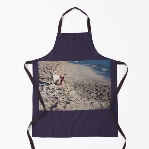 Item preview, Cachorro hembra de raza de perro Jack Russell Terrier junto al mar en la playa al atardecer designed and sold by alessiapenny.