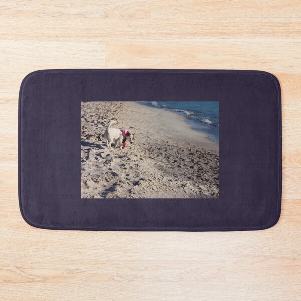 Item preview, female puppy of dog breed jack russell terrier by the sea on the sandy beach at sunset designed and sold by alessiapenny.