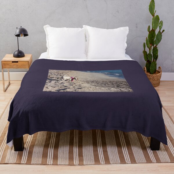 Item preview, Cachorro hembra de raza de perro Jack Russell Terrier junto al mar en la playa al atardecer designed and sold by alessiapenny.