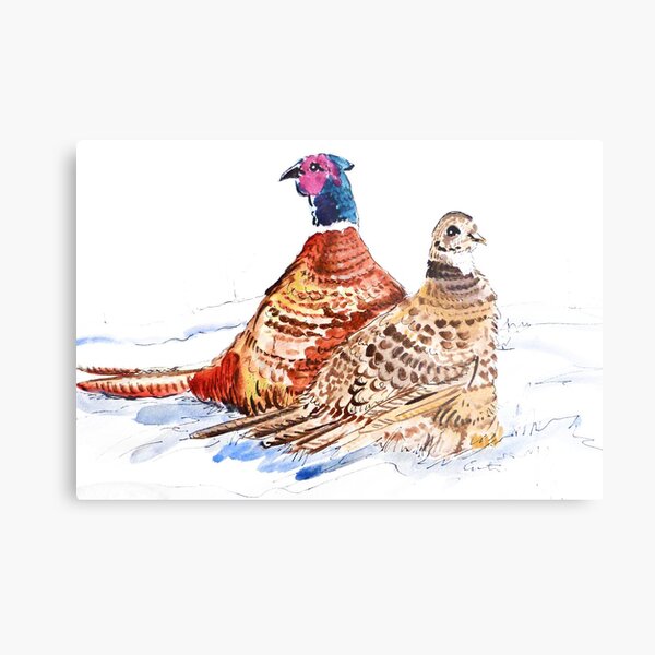 Snowy pheasants Metal Print
