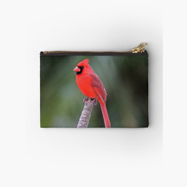 Item preview, Northern Cardinal designed and sold by Heidi Ingram.