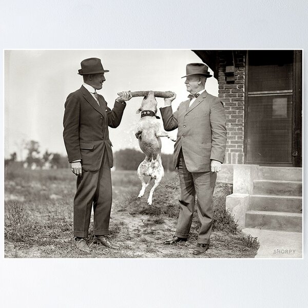 Item preview, Vintage hang in there photo Dogs retro designed and sold by Coolstuff4you71.