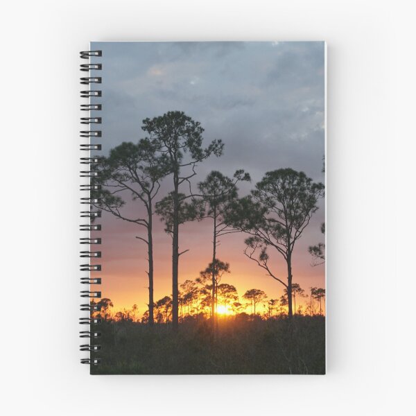 Item preview, Archbold Sunset designed and sold by Brenna Costello.